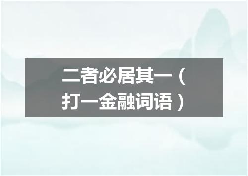 二者必居其一（打一金融词语）