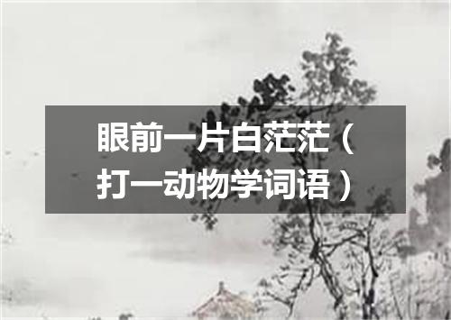 眼前一片白茫茫（打一动物学词语）