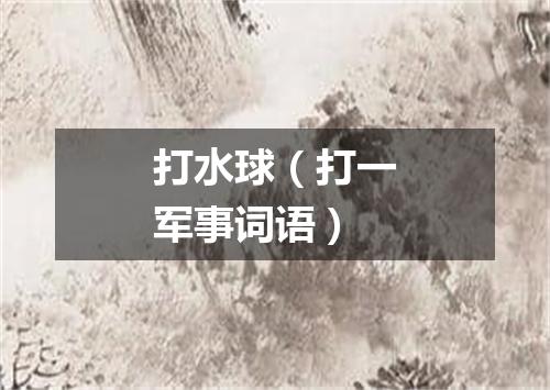 打水球（打一军事词语）