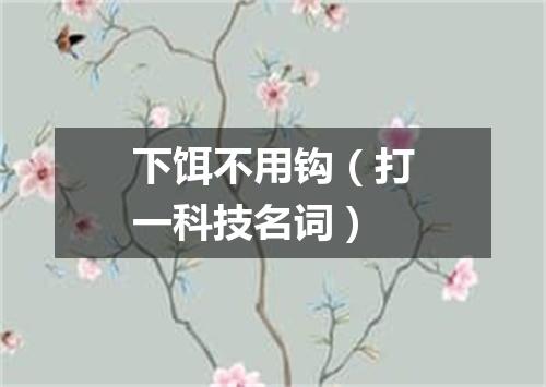 下饵不用钩（打一科技名词）