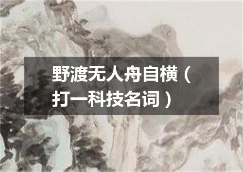 野渡无人舟自横（打一科技名词）