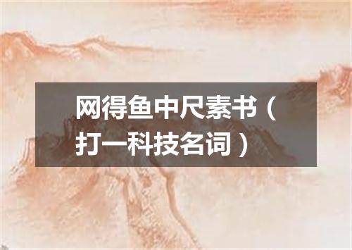 网得鱼中尺素书（打一科技名词）
