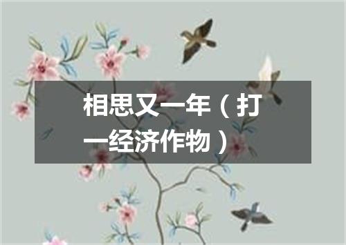 相思又一年（打一经济作物）
