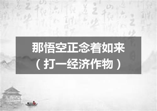 那悟空正念着如来（打一经济作物）
