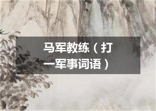 马军教练（打一军事词语）