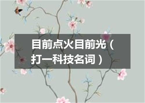 目前点火目前光（打一科技名词）