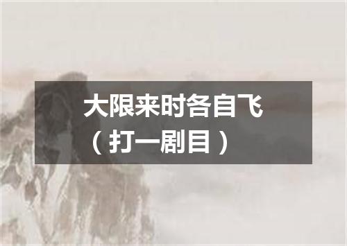 大限来时各自飞（打一剧目）