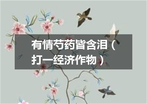 有情芍药皆含泪（打一经济作物）