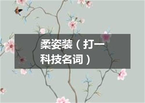 柔姿装（打一科技名词）