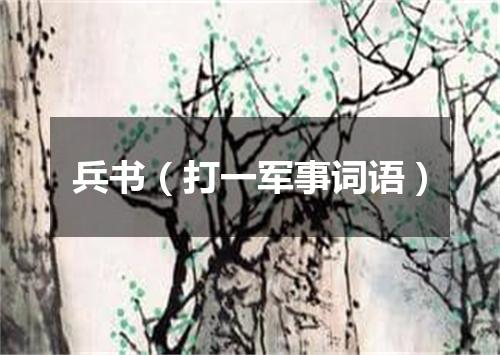 兵书（打一军事词语）