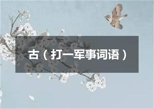 古（打一军事词语）