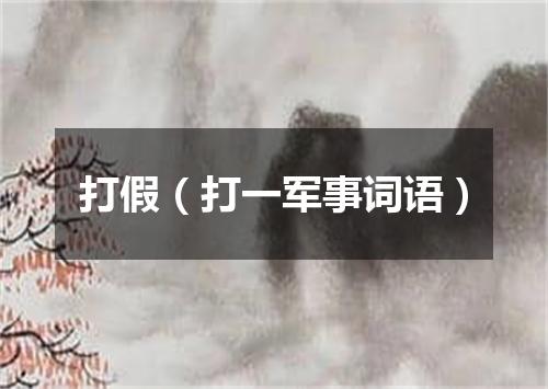 打假（打一军事词语）