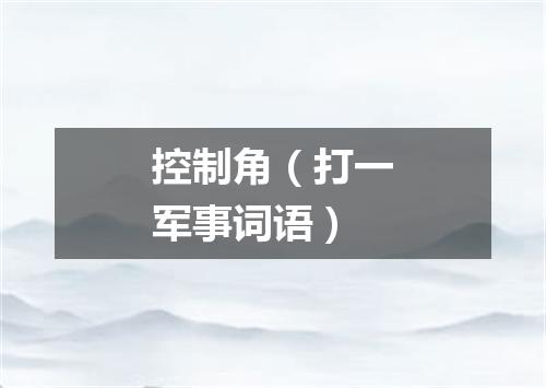 控制角（打一军事词语）