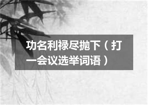 功名利禄尽抛下（打一会议选举词语）