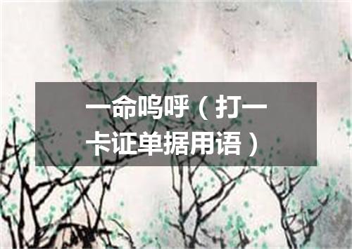 一命呜呼（打一卡证单据用语）