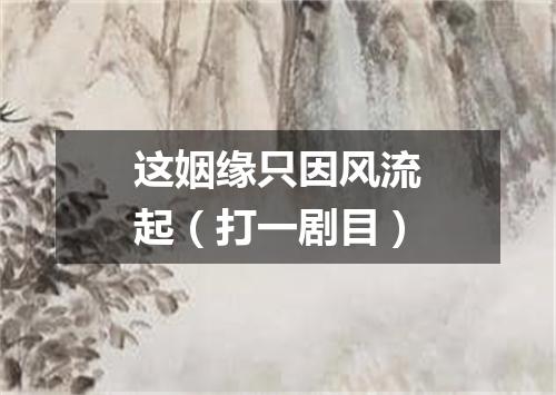 这姻缘只因风流起（打一剧目）