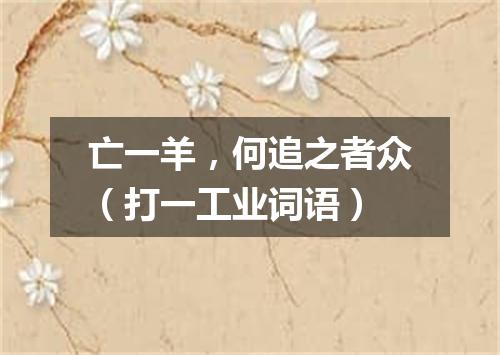 亡一羊，何追之者众（打一工业词语）