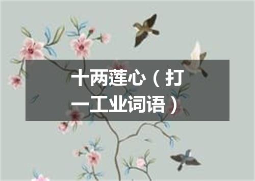 十两莲心（打一工业词语）