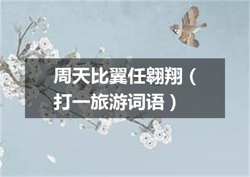 周天比翼任翱翔（打一旅游词语）