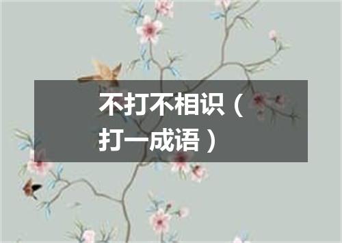 不打不相识（打一成语）