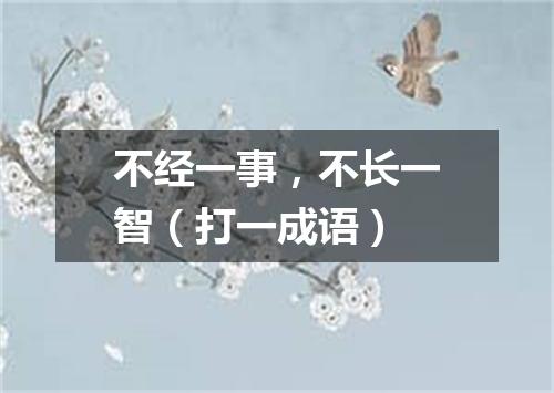 不经一事，不长一智（打一成语）