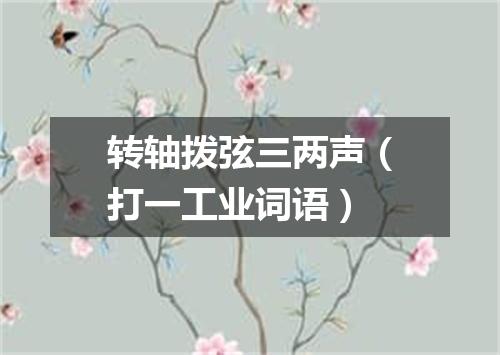 转轴拨弦三两声（打一工业词语）