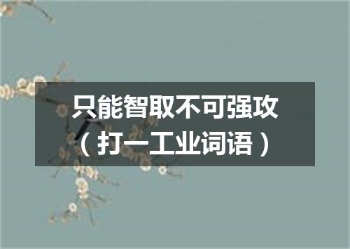 只能智取不可强攻（打一工业词语）