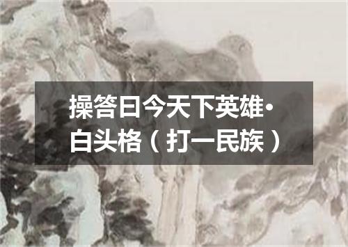 操答曰今天下英雄·白头格（打一民族）