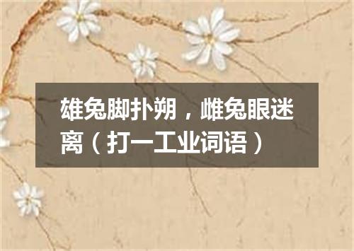 雄兔脚扑朔，雌兔眼迷离（打一工业词语）