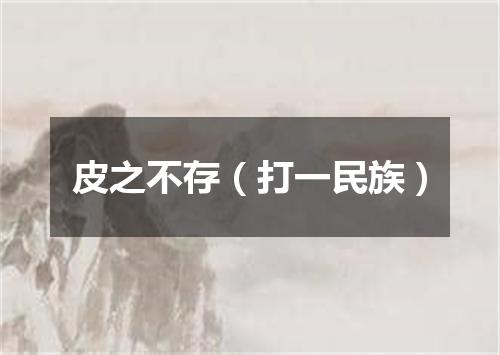 皮之不存（打一民族）