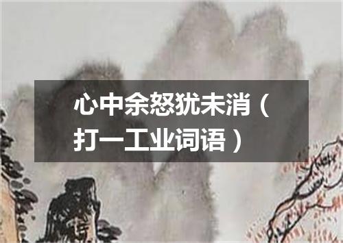 心中余怒犹未消（打一工业词语）