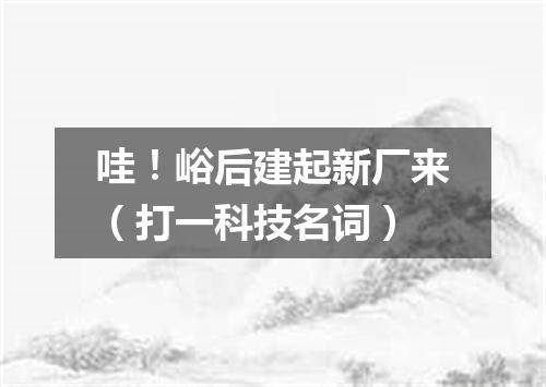 哇！峪后建起新厂来（打一科技名词）