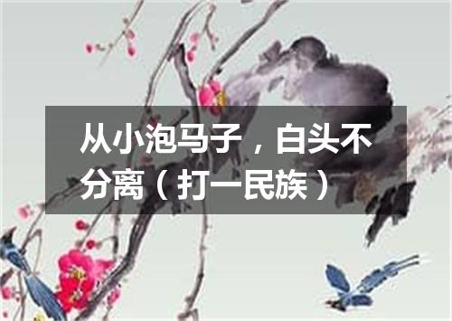 从小泡马子，白头不分离（打一民族）