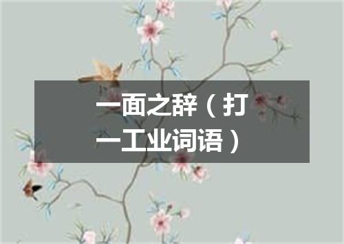 一面之辞（打一工业词语）