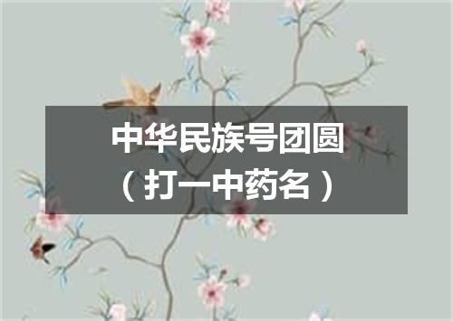 中华民族号团圆（打一中药名）
