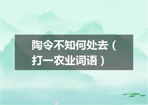 陶令不知何处去（打一农业词语）