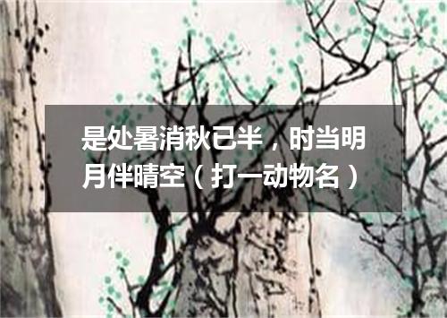 是处暑消秋已半，时当明月伴晴空（打一动物名）