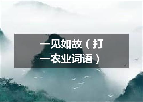 一见如故（打一农业词语）