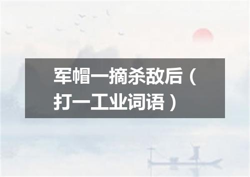 军帽一摘杀敌后（打一工业词语）