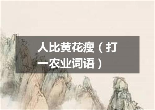 人比黄花瘦（打一农业词语）