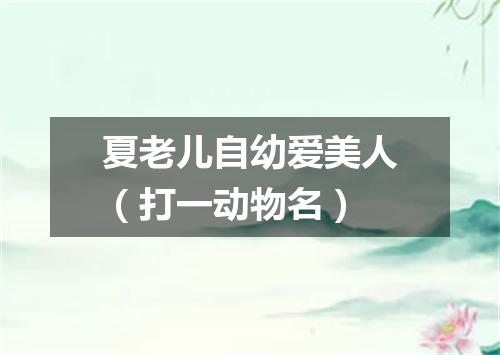夏老儿自幼爱美人（打一动物名）