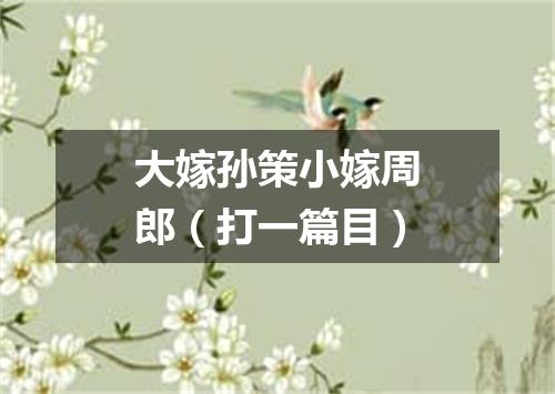 大嫁孙策小嫁周郎（打一篇目）