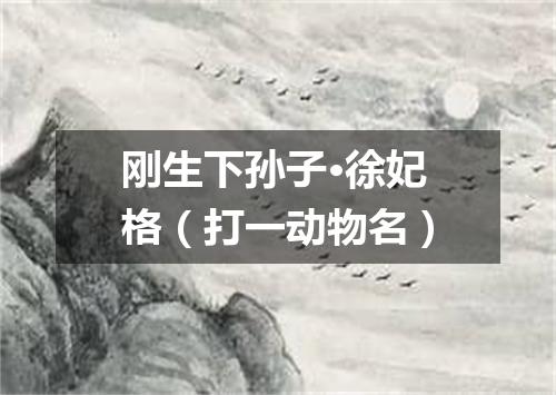 刚生下孙子·徐妃格（打一动物名）