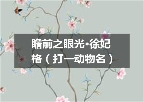 瞻前之眼光·徐妃格（打一动物名）