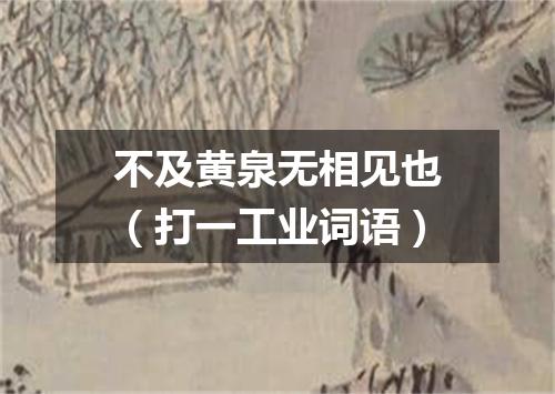 不及黄泉无相见也（打一工业词语）