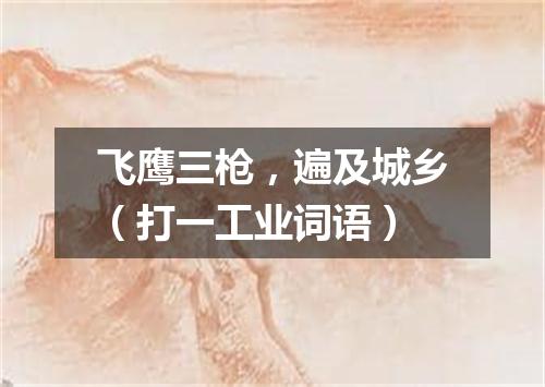 飞鹰三枪，遍及城乡（打一工业词语）