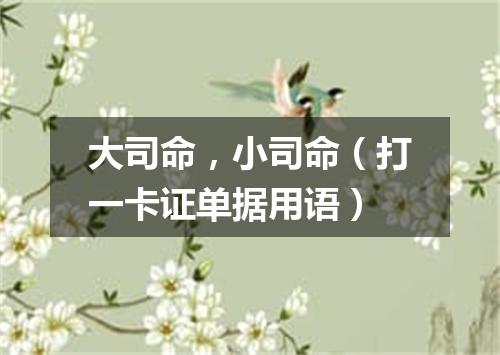 大司命，小司命（打一卡证单据用语）