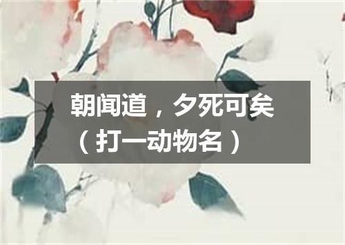 朝闻道，夕死可矣（打一动物名）