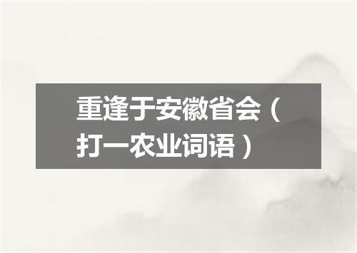 重逢于安徽省会（打一农业词语）