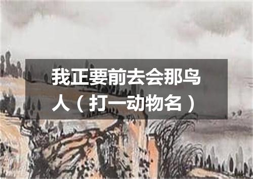 我正要前去会那鸟人（打一动物名）